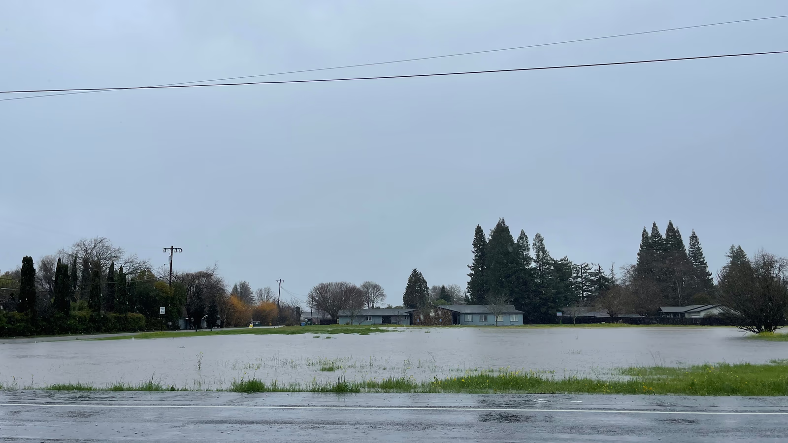 Saturated drain field area showing signs of septic system failure in a Miami-Dade residential yard